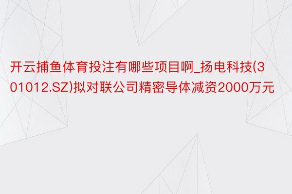 开云捕鱼体育投注有哪些项目啊_扬电科技(301012.SZ)拟对联公司精密导体减资2000万元