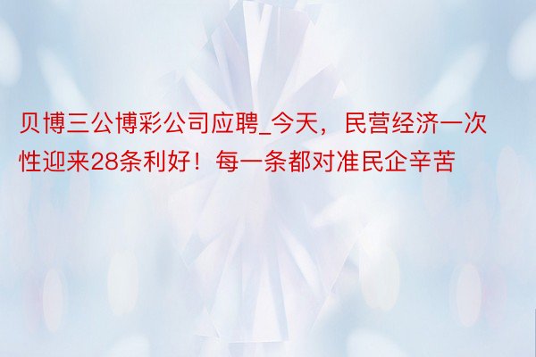 贝博三公博彩公司应聘_今天，民营经济一次性迎来28条利好！每一条都对准民企辛苦