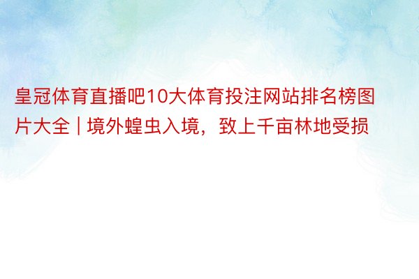 皇冠体育直播吧10大体育投注网站排名榜图片大全 | 境外蝗虫入境，致上千亩林地受损