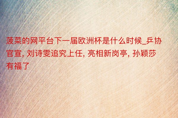 菠菜的网平台下一届欧洲杯是什么时候_乒协官宣, 刘诗雯追究上任, 亮相新岗亭, 孙颖莎有福了