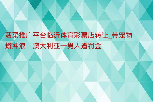 菠菜推广平台临沂体育彩票店转让_带宠物蟒冲浪　澳大利亚一男人遭罚金